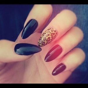 Meet your Posher, Aseel